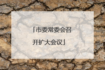 市委常委会召开扩大会议