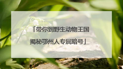 带你到野生动物王国揭秘鄂州人专属暗号