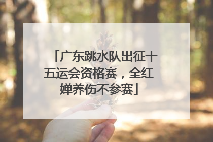 广东跳水队出征十五运会资格赛，全红婵养伤不参赛