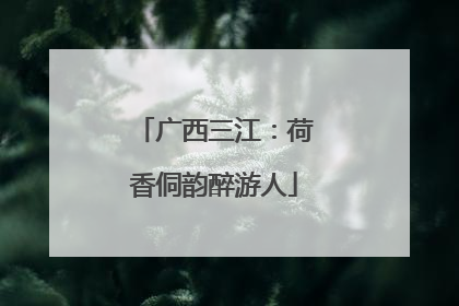 广西三江：荷香侗韵醉游人