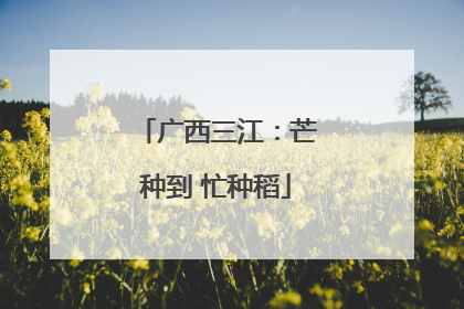 广西三江：芒种到 忙种稻