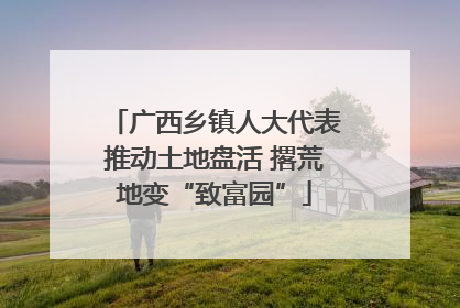 广西乡镇人大代表推动土地盘活 撂荒地变“致富园”