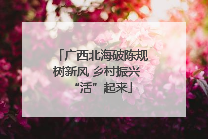 广西北海破陈规树新风 乡村振兴“活”起来