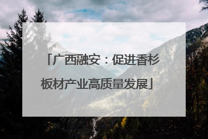 广西融安：促进香杉板材产业高质量发展