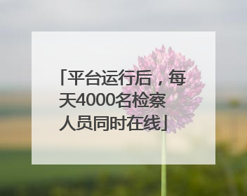 平台运行后，每天4000名检察人员同时在线