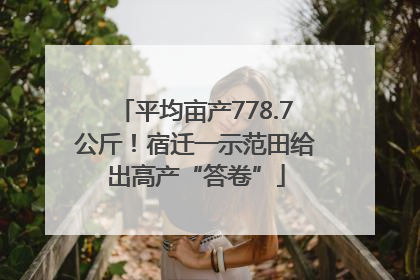 平均亩产778.7公斤！宿迁一示范田给出高产“答卷”