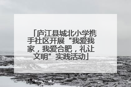 庐江县城北小学携手社区开展“我爱我家，我爱合肥，礼让文明”实践活动