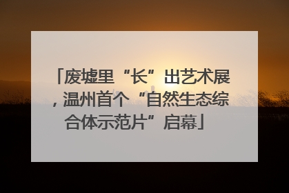 废墟里“长”出艺术展，温州首个“自然生态综合体示范片”启幕