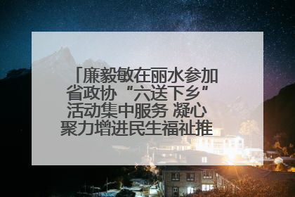 廉毅敏在丽水参加省政协“六送下乡”活动集中服务 凝心聚力增进民生福祉推进共同富裕
