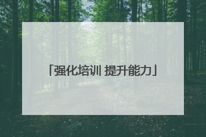 强化培训 提升能力