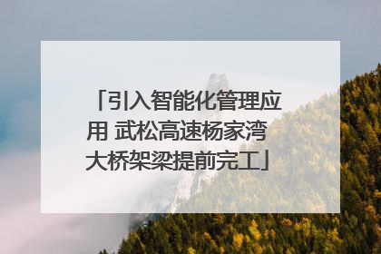 引入智能化管理应用 武松高速杨家湾大桥架梁提前完工