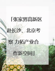 张家界高新区赴长沙、北京考察 力拓产业合作新空间