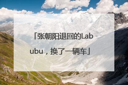 张朝阳退回的Labubu，换了一辆车