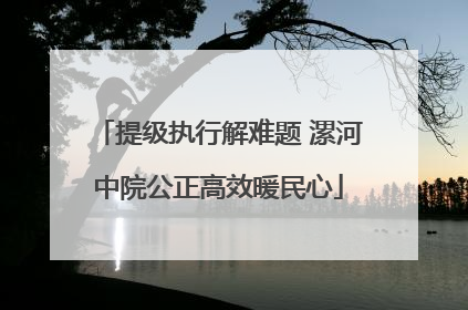 提级执行解难题 漯河中院公正高效暖民心