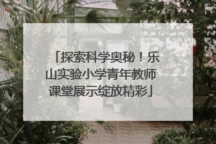 探索科学奥秘！乐山实验小学青年教师课堂展示绽放精彩