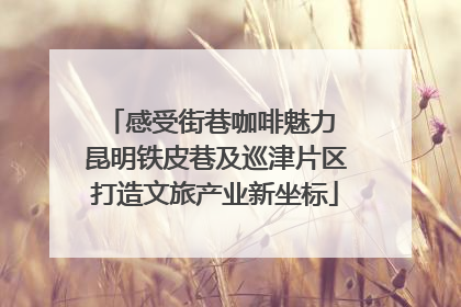 感受街巷咖啡魅力 昆明铁皮巷及巡津片区打造文旅产业新坐标
