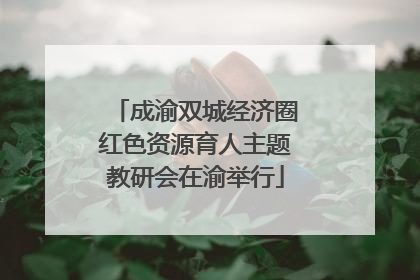 成渝双城经济圈红色资源育人主题教研会在渝举行