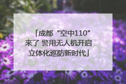 成都“空中110”来了 警用无人机开启立体化巡防新时代