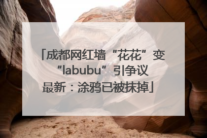 成都网红墙“花花”变“labubu”引争议 最新：涂鸦已被抹掉