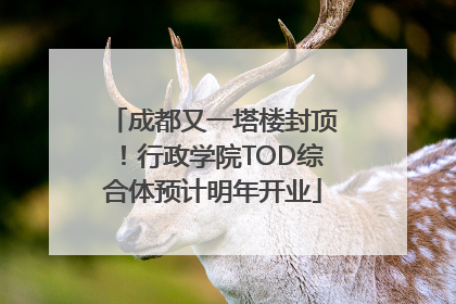 成都又一塔楼封顶！行政学院TOD综合体预计明年开业