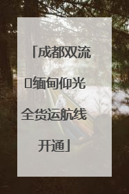 成都双流⇌缅甸仰光全货运航线开通