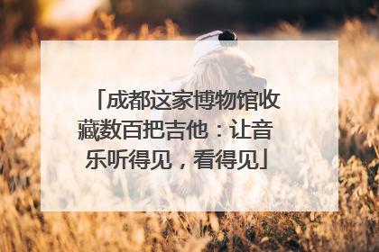 成都这家博物馆收藏数百把吉他：让音乐听得见，看得见