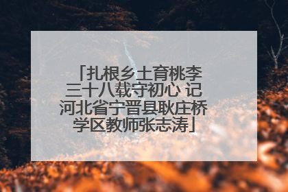 扎根乡土育桃李 三十八载守初心 记河北省宁晋县耿庄桥学区教师张志涛