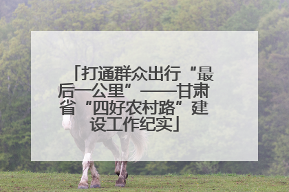 打通群众出行“最后一公里”——甘肃省“四好农村路”建设工作纪实