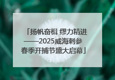 扬帆奋楫 缪力精进——2025威海刺参春季开捕节盛大启幕