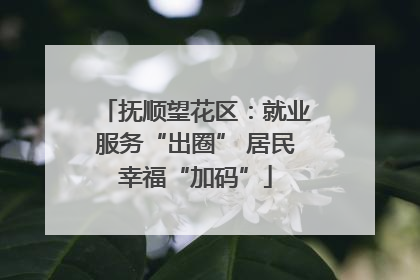 抚顺望花区：就业服务“出圈” 居民幸福“加码”