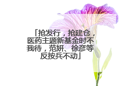 抢发行，抢建仓，医药主题新基金时不我待，范妍、徐彦等反按兵不动
