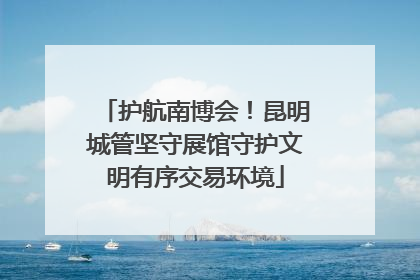 护航南博会！昆明城管坚守展馆守护文明有序交易环境