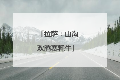 拉萨：山沟欢腾赛牦牛