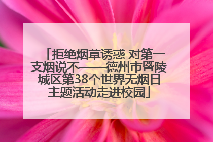拒绝烟草诱惑 对第一支烟说不——德州市暨陵城区第38个世界无烟日主题活动走进校园