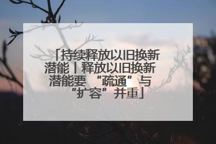 持续释放以旧换新潜能丨释放以旧换新潜能要 “疏通”与“扩容”并重