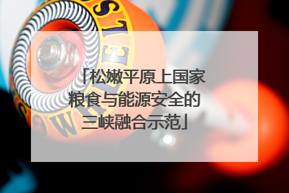 松嫩平原上国家粮食与能源安全的三峡融合示范