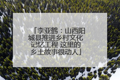 李亚鹤：山西阳城县推进乡村文化记忆工程 这里的乡土故事很动人