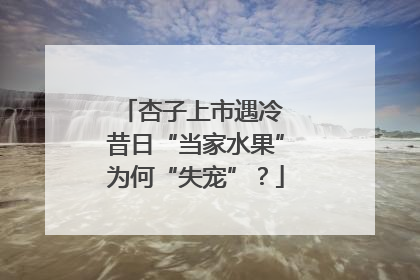 杏子上市遇冷 昔日“当家水果”为何“失宠”？