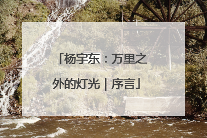 杨宇东：万里之外的灯光｜序言