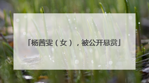 杨茜雯（女），被公开悬赏