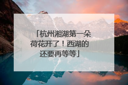 杭州湘湖第一朵荷花开了！西湖的还要再等等