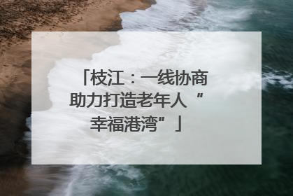 枝江：一线协商助力打造老年人“幸福港湾”