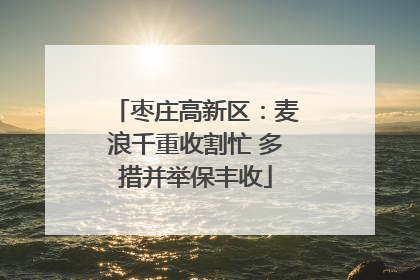 枣庄高新区：麦浪千重收割忙 多措并举保丰收