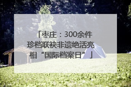 枣庄：300余件珍档联袂非遗绝活亮相“国际档案日”