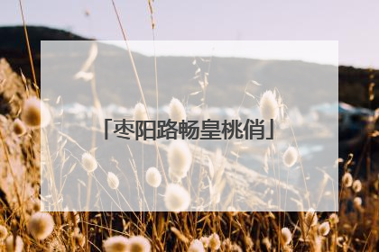 枣阳路畅皇桃俏