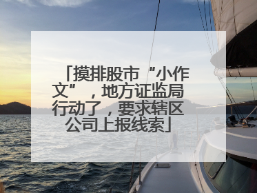 摸排股市“小作文”，地方证监局行动了，要求辖区公司上报线索