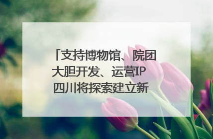 支持博物馆、院团大胆开发、运营IP 四川将探索建立新的收入分配激励机制｜新闻发布最前线