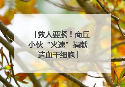 救人要紧！商丘小伙“火速”捐献造血干细胞