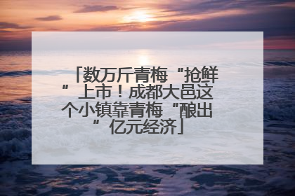 数万斤青梅“抢鲜”上市！成都大邑这个小镇靠青梅“酿出”亿元经济
