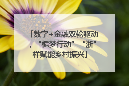 数字+金融双轮驱动，“栀梦行动”“浙”样赋能乡村振兴